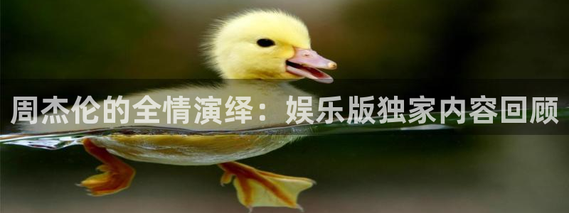 93299星空娱乐官网版：周杰伦的全情演绎：娱乐版独家内容回顾