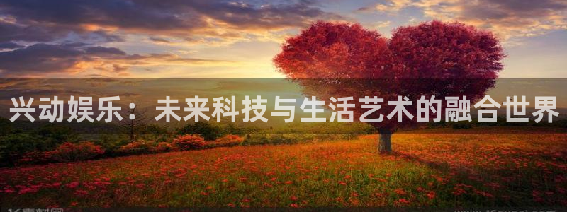 星空娱乐：兴动娱乐：未来科技与生活艺术的融合世界