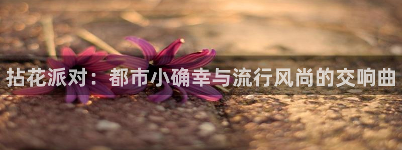 星空娱乐传媒有限公司：拈花派对：都市小确幸与流行风尚的交响曲