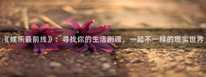 星空娱乐官网版：《娱乐最前线》：寻找你的生活剧魂，一起不一样的现实世界