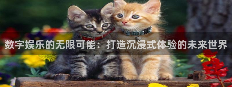 星空娱乐网站官网：数字娱乐的无限可能：打造沉浸式体验的未来世界