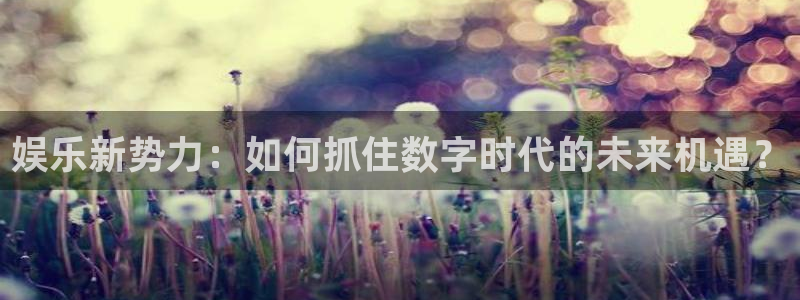 星空娱乐网站官网：娱乐新势力：如何抓住数字时代的未来机遇？