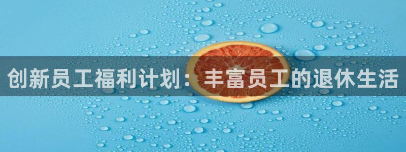 星空娱乐游戏：创新员工福利计划：丰富员工的退休生活