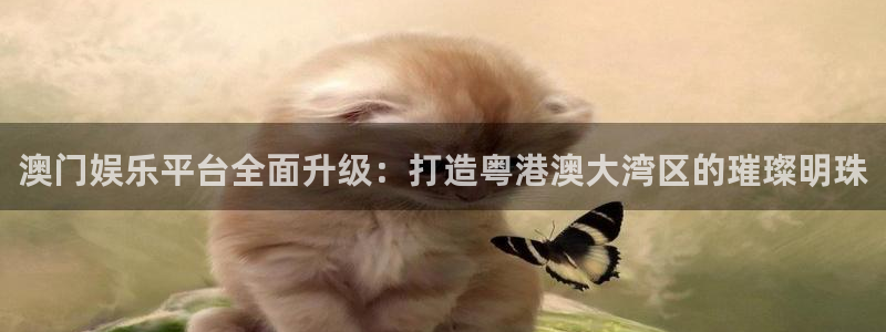 93299星空娱乐官网版：澳门娱乐平台全面升级：打造粤港澳大湾区的璀璨明珠