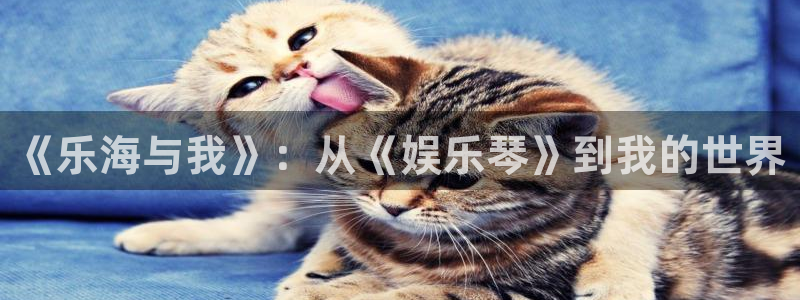 星空娱乐app下载安装：《乐海与我》：从《娱乐琴》到我的世界