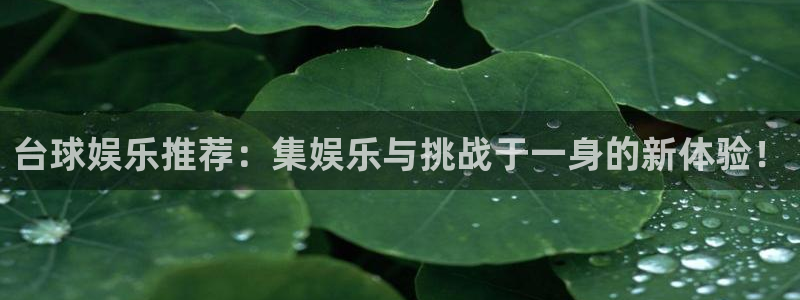 93299星空娱乐最新网址：台球娱乐推荐：集娱乐与挑战于一身的新体验！