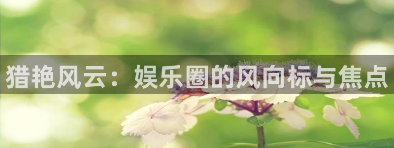 星空娱乐网站：猎艳风云：娱乐圈的风向标与焦点