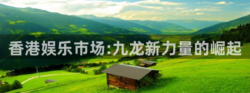 星空娱乐app安装：香港娱乐市场:九龙新力量的崛起